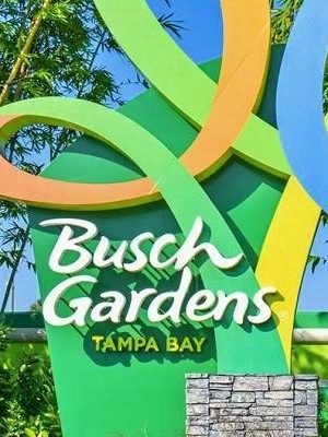 Ingresso Busch Gardens